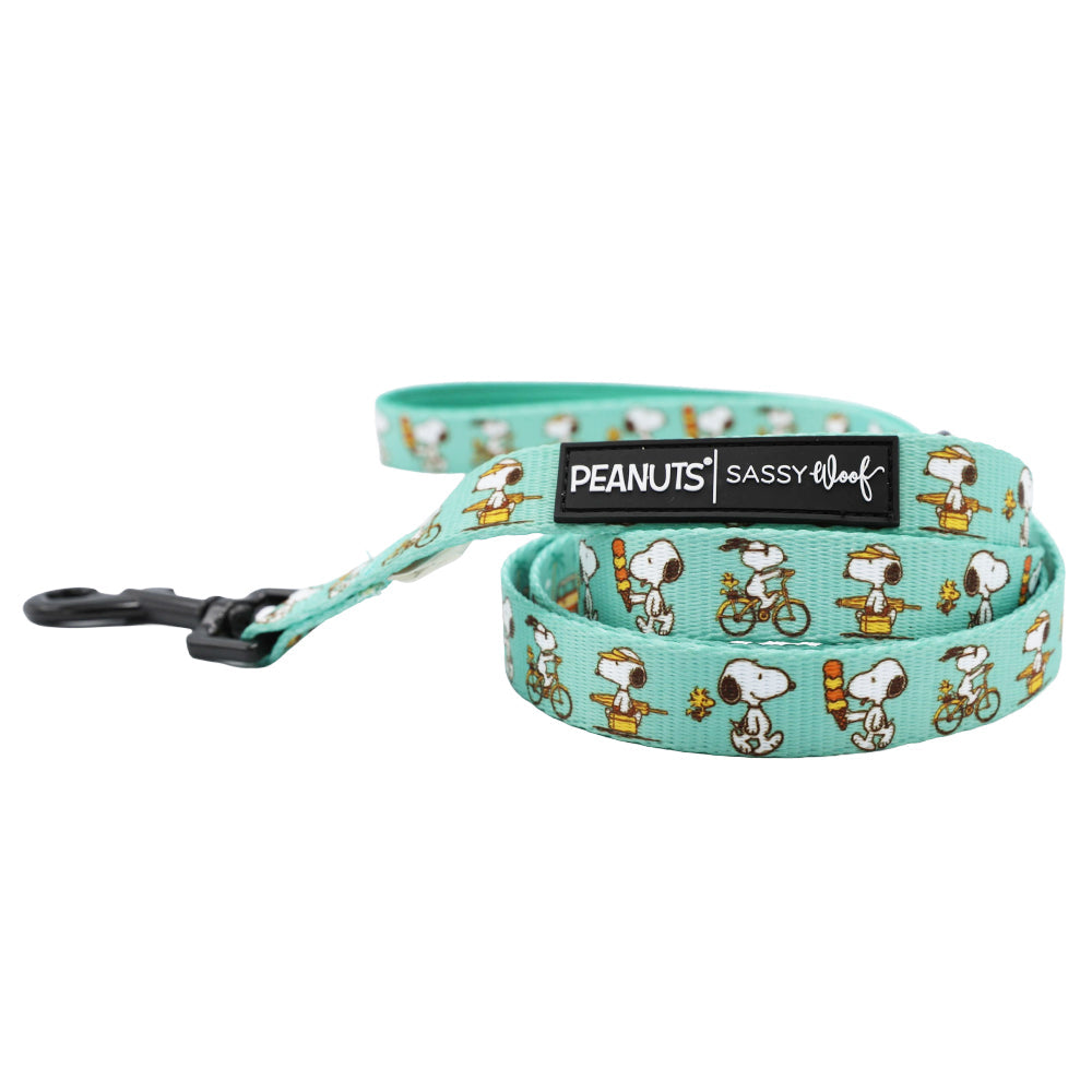 Dog Four Piece Bundle - Peanuts™ Road Tripping