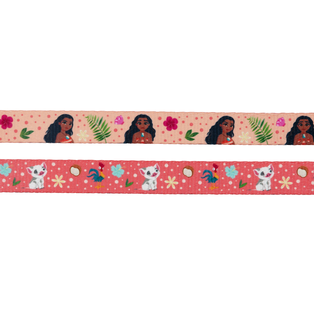 Dog Two Piece Bundle - Disney's Moana