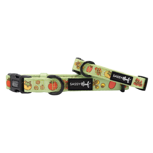 Dog Collar - Feeling Vine