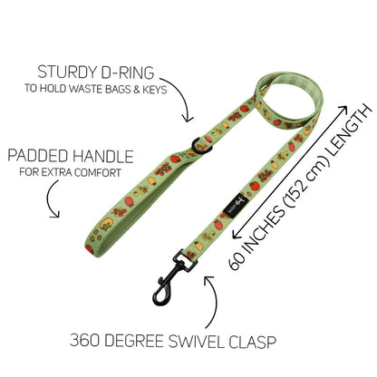 Dog Two Piece Bundle - Feeling Vine