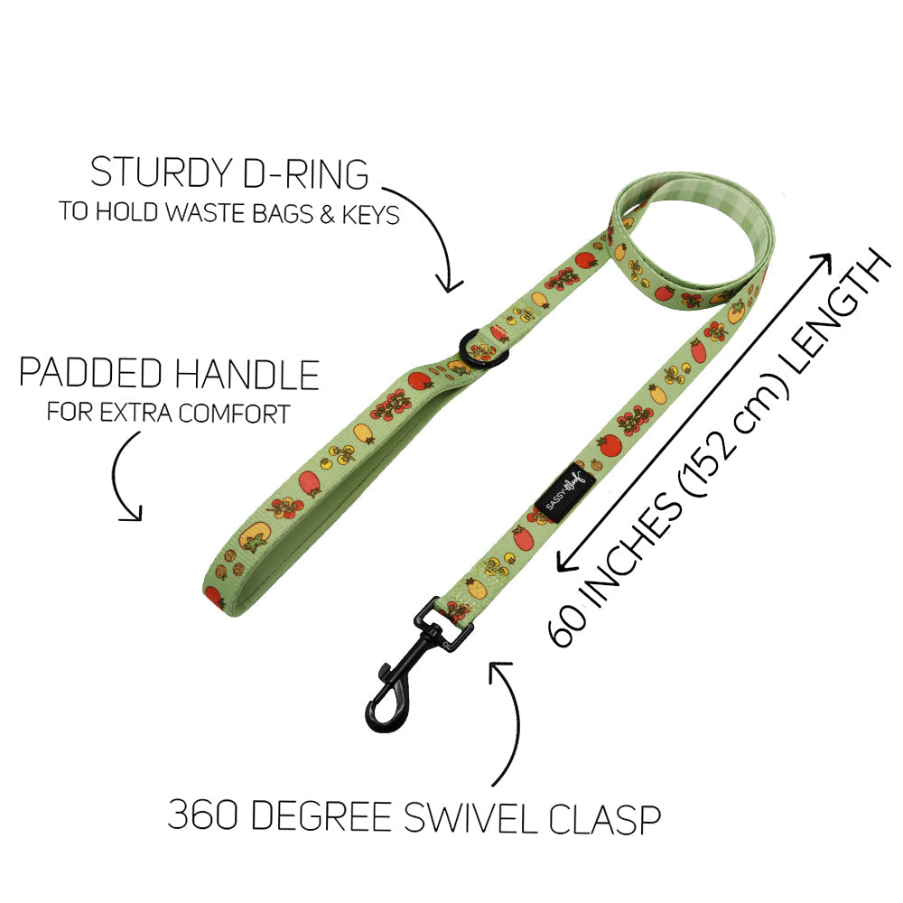 Dog Three Piece Bundle - Feeling Vine