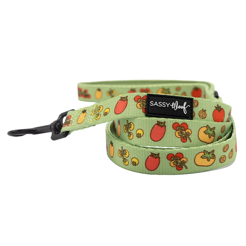 Dog Three Piece Bundle - Feeling Vine