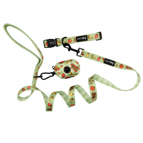 Dog Three Piece Bundle - Feeling Vine