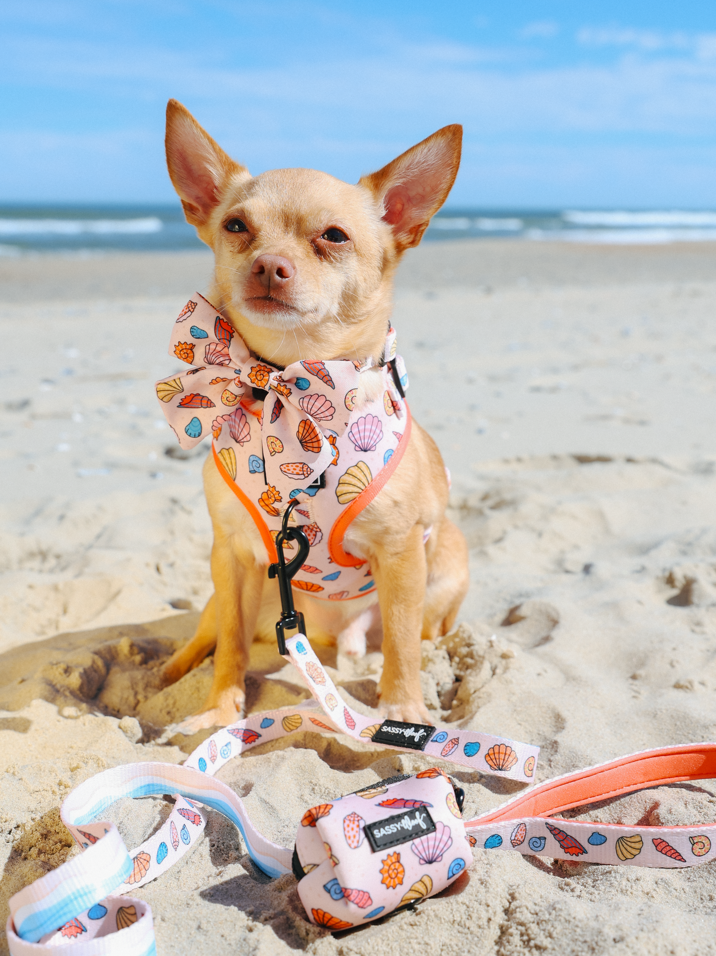 Dog Leash - Shell Yeah