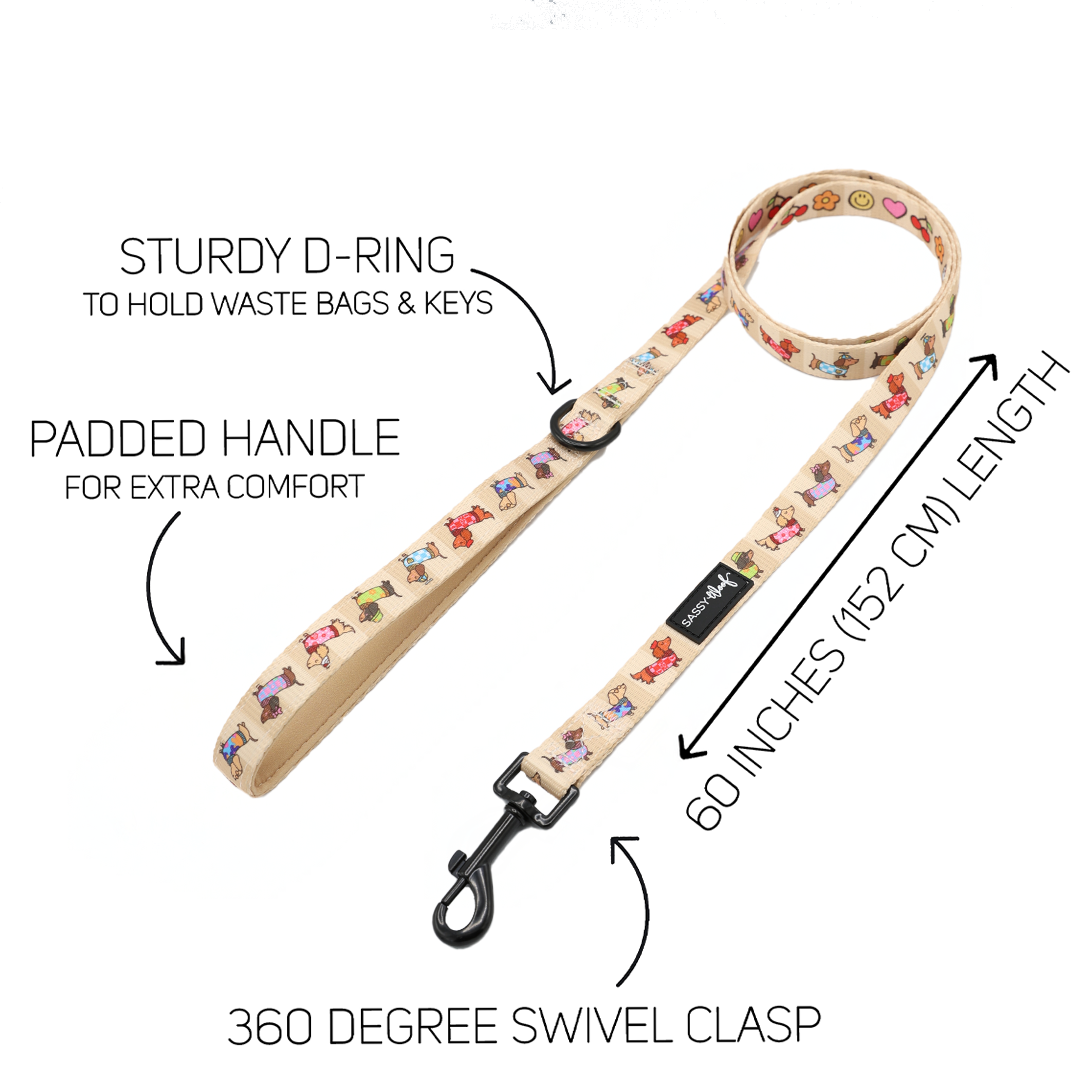 Dog Two Piece Bundle - Sunbean