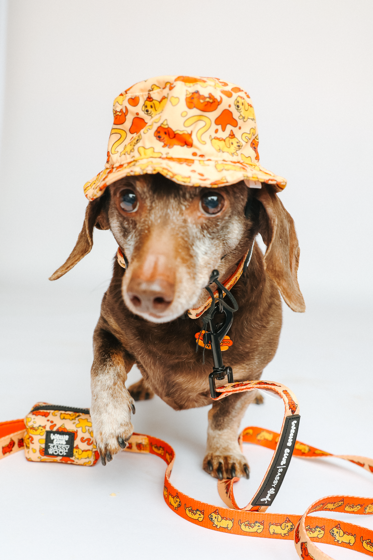 Dog Bucket Hat - Hot Dawg