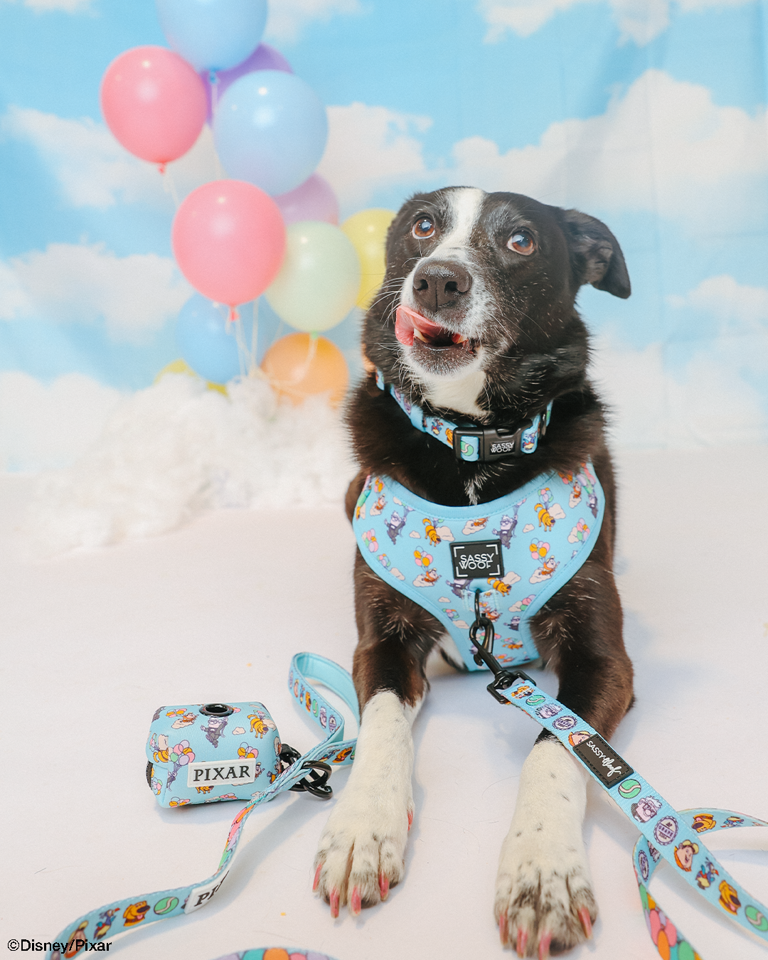 Dog Waste Bag Holder - Disney and Pixar's Up