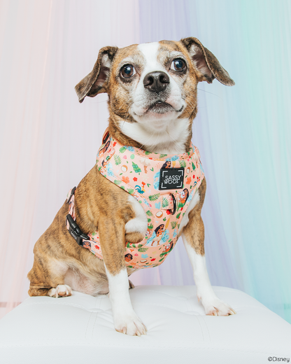 Dog Two Piece Bundle - Disney's Moana