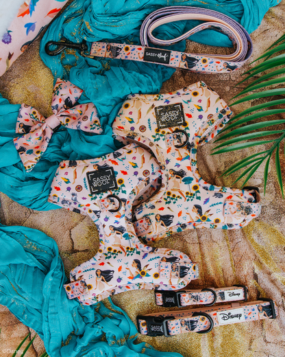 Dog Sailor Bow - Disney's Pocahontas