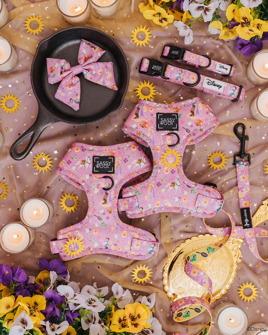 Harness Three Piece Bundle - Disney's Rapunzel