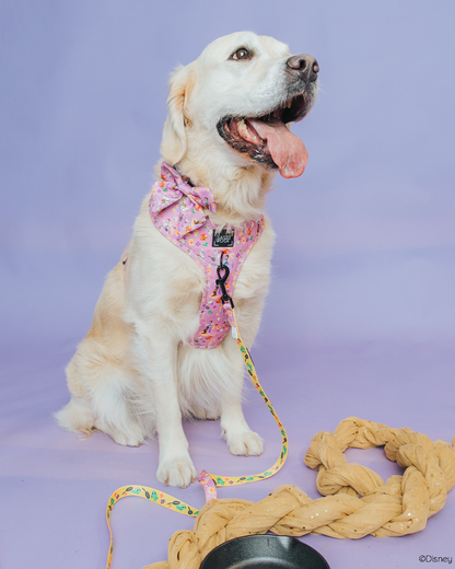 Harness Three Piece Bundle - Disney's Rapunzel
