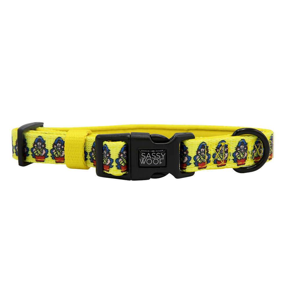 Dog Collar Three Piece Bundle - Wonder Woman™