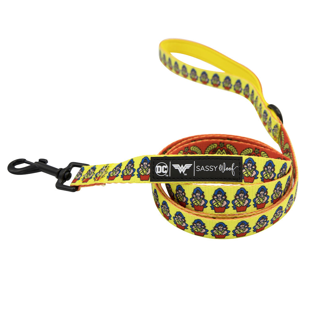 Dog Collar Three Piece Bundle - Wonder Woman™