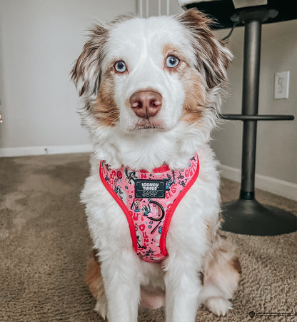 Dog Adjustable Harness - Looney Tunes™ Pink
