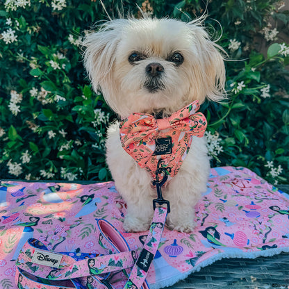 Dog Two Piece Bundle -  Disney's Mulan