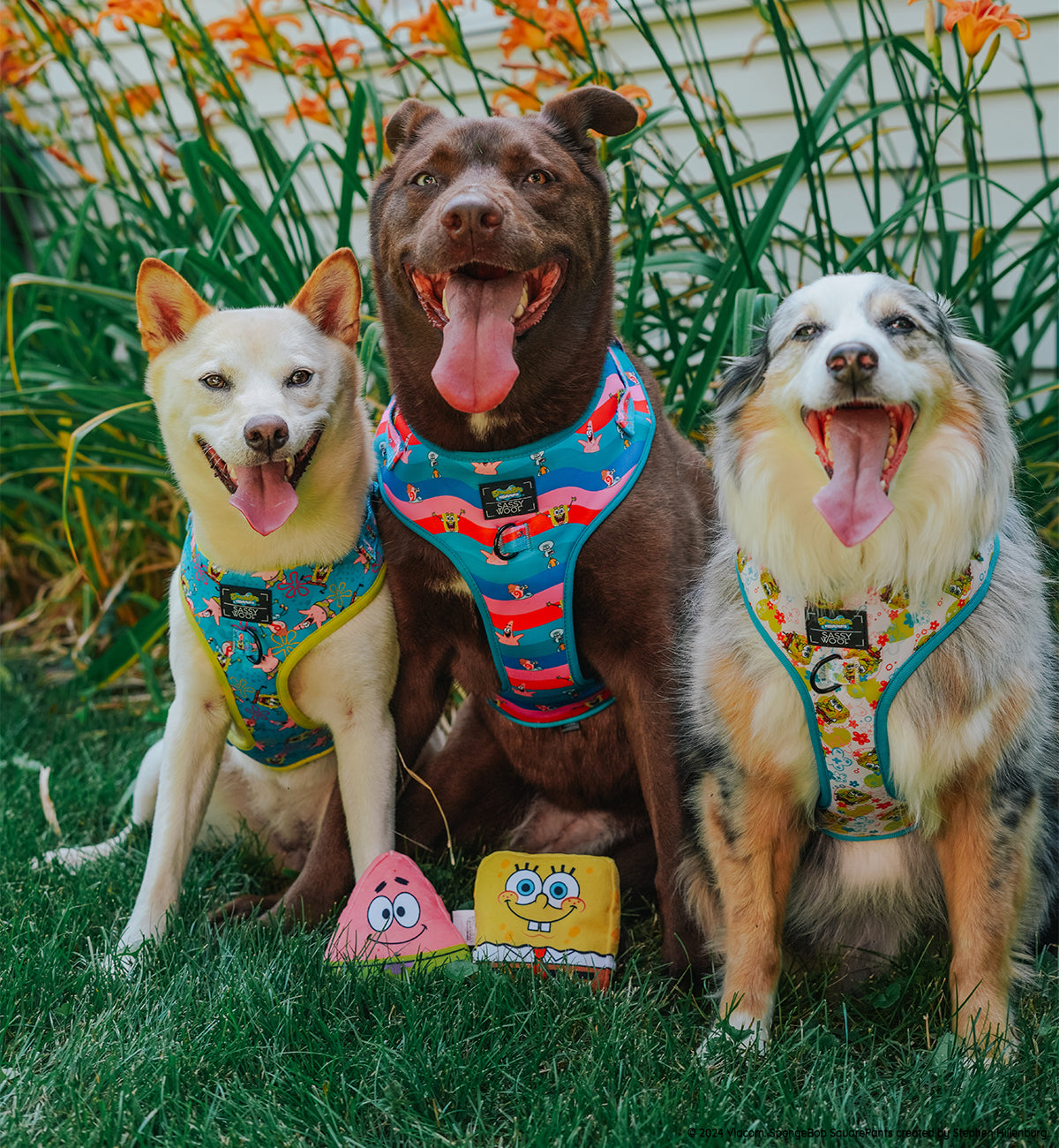 Dog Toy - SpongeBob SquarePants™