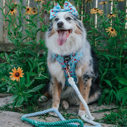 Dog Sailor Bow - Disney's Ariel