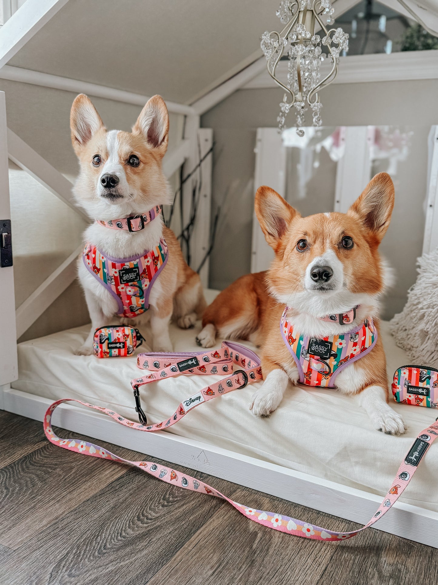Dog Three Piece Bundle - Disney's Bambi