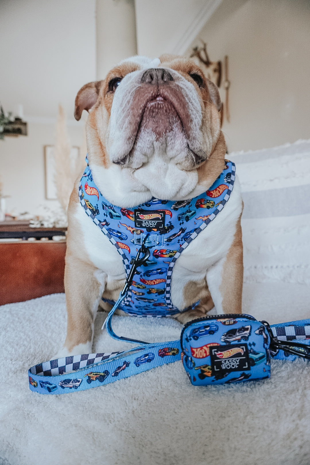 Dog Two Piece Bundle - Hot Wheels™