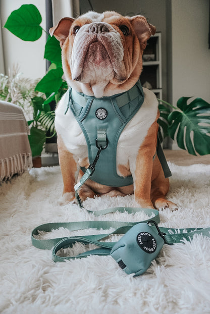 Dog Waste Bag Holder - Sage