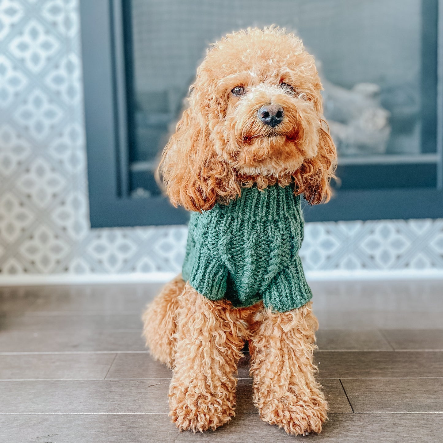 Pet Cable Knit Sweater - Dark Green