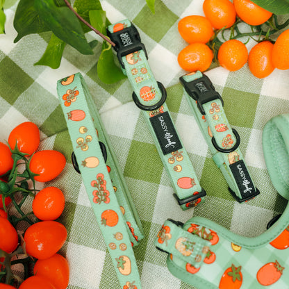 Dog Three Piece Bundle - Feeling Vine