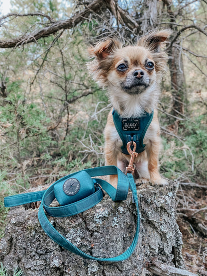Dog Waste Bag Holder - Forest