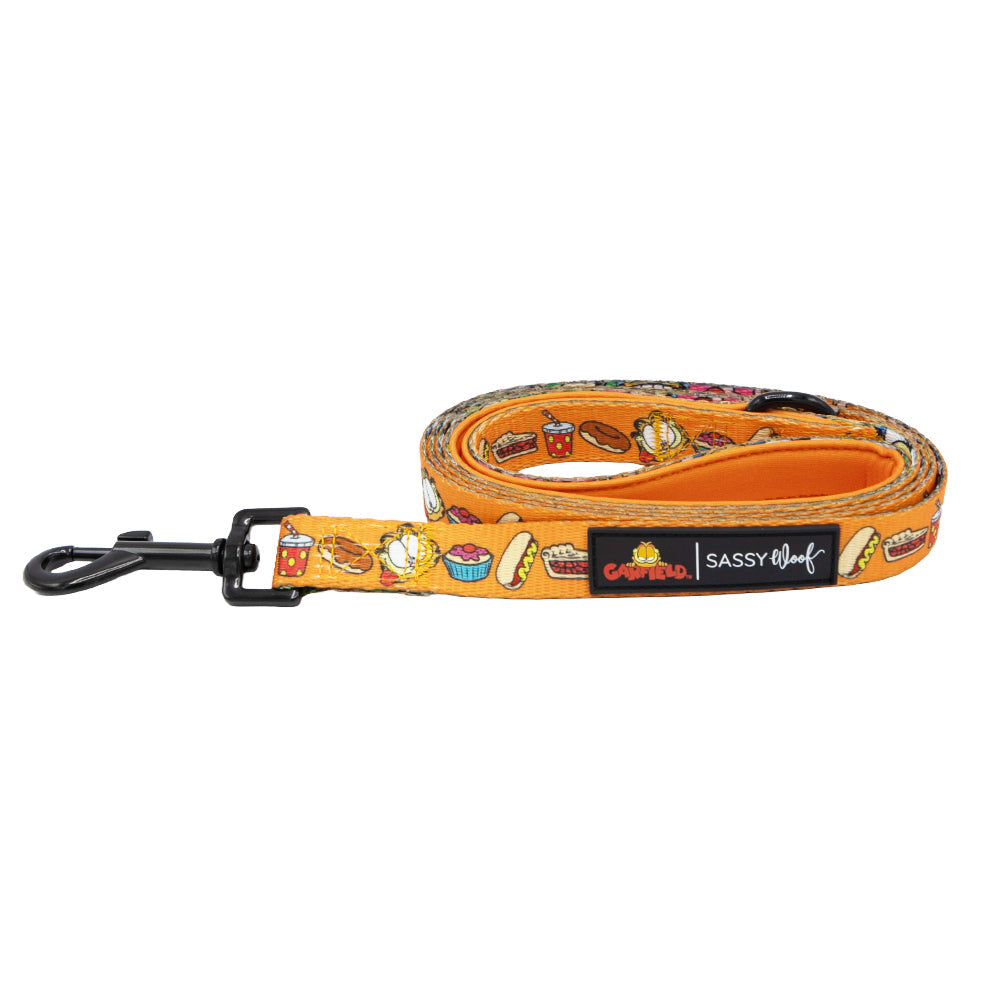 Dog Collar Three Piece Bundle - Garfield™