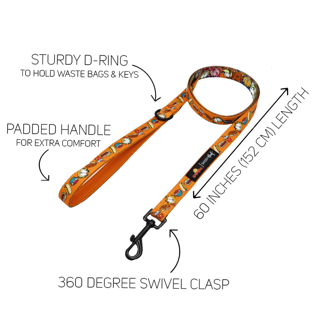 Dog Collar Three Piece Bundle - Garfield™
