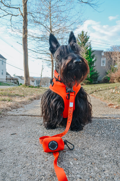 Dog Four Piece Bundle - Neon Red