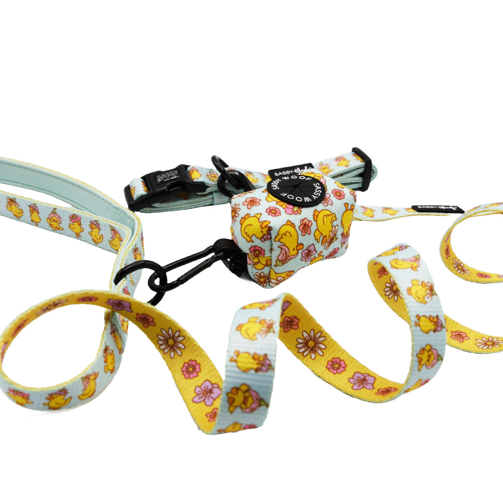 Dog Three Piece Bundle - Good Duck, Babe!