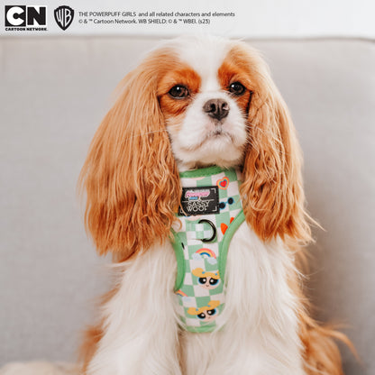 Dog Four Piece Bundle - The Powerpuff Girls™ (Green)