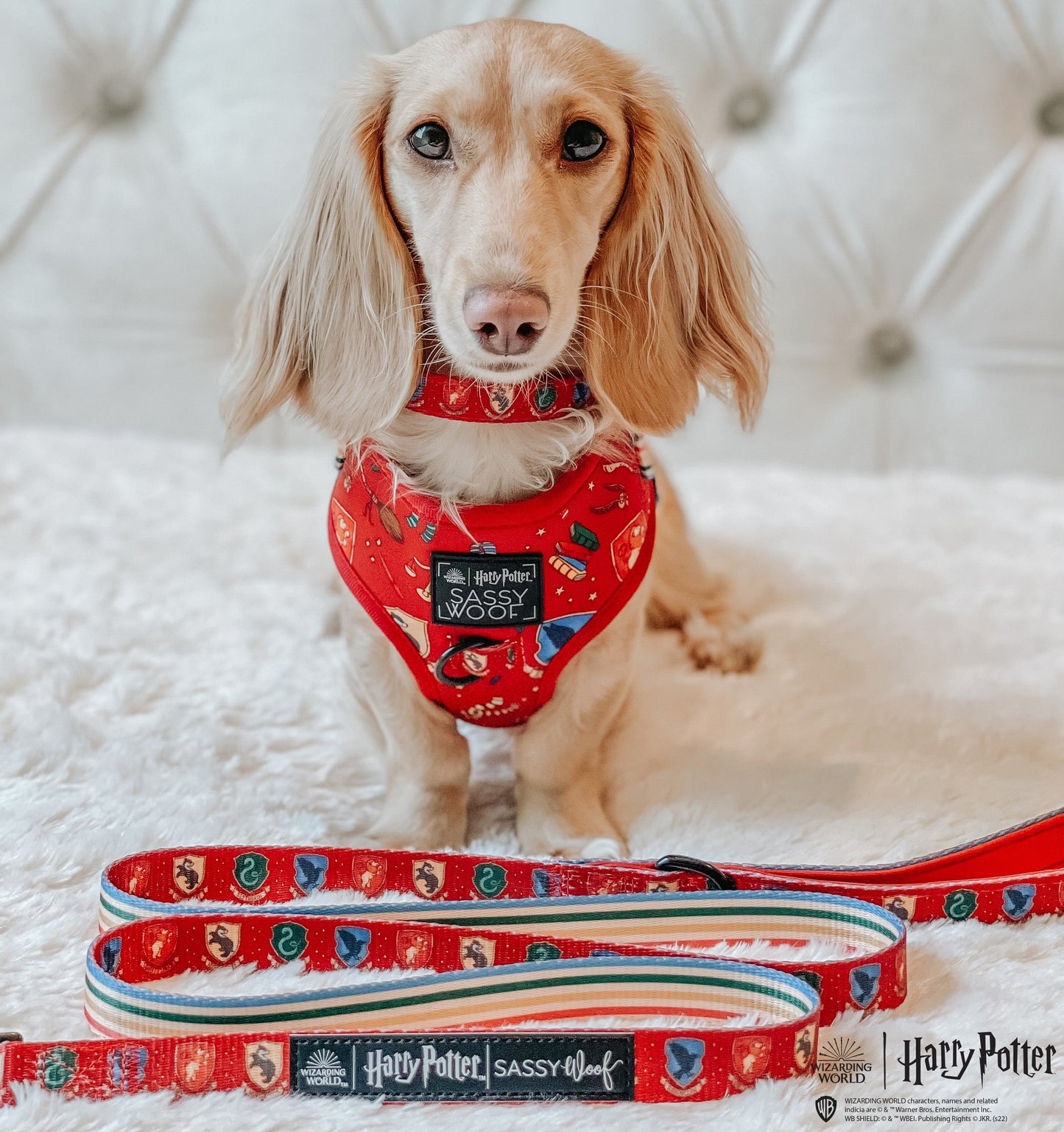 Harness Three Piece Bundle -  Harry Potter™