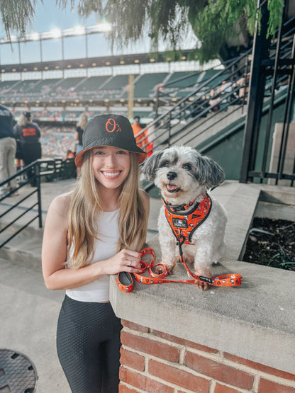 Dog Two Piece Bundle - MLB™ x Peanuts™ Baltimore Orioles™