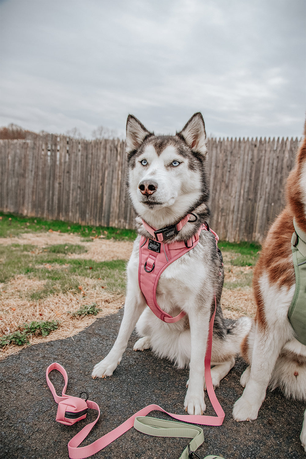 Dog Waste Bag Holder - Dusty Rose