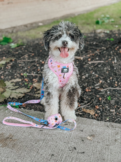 Dog Two Piece Bundle - Gilmore Girls™