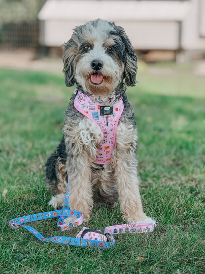 Dog Two Piece Bundle - Gilmore Girls™
