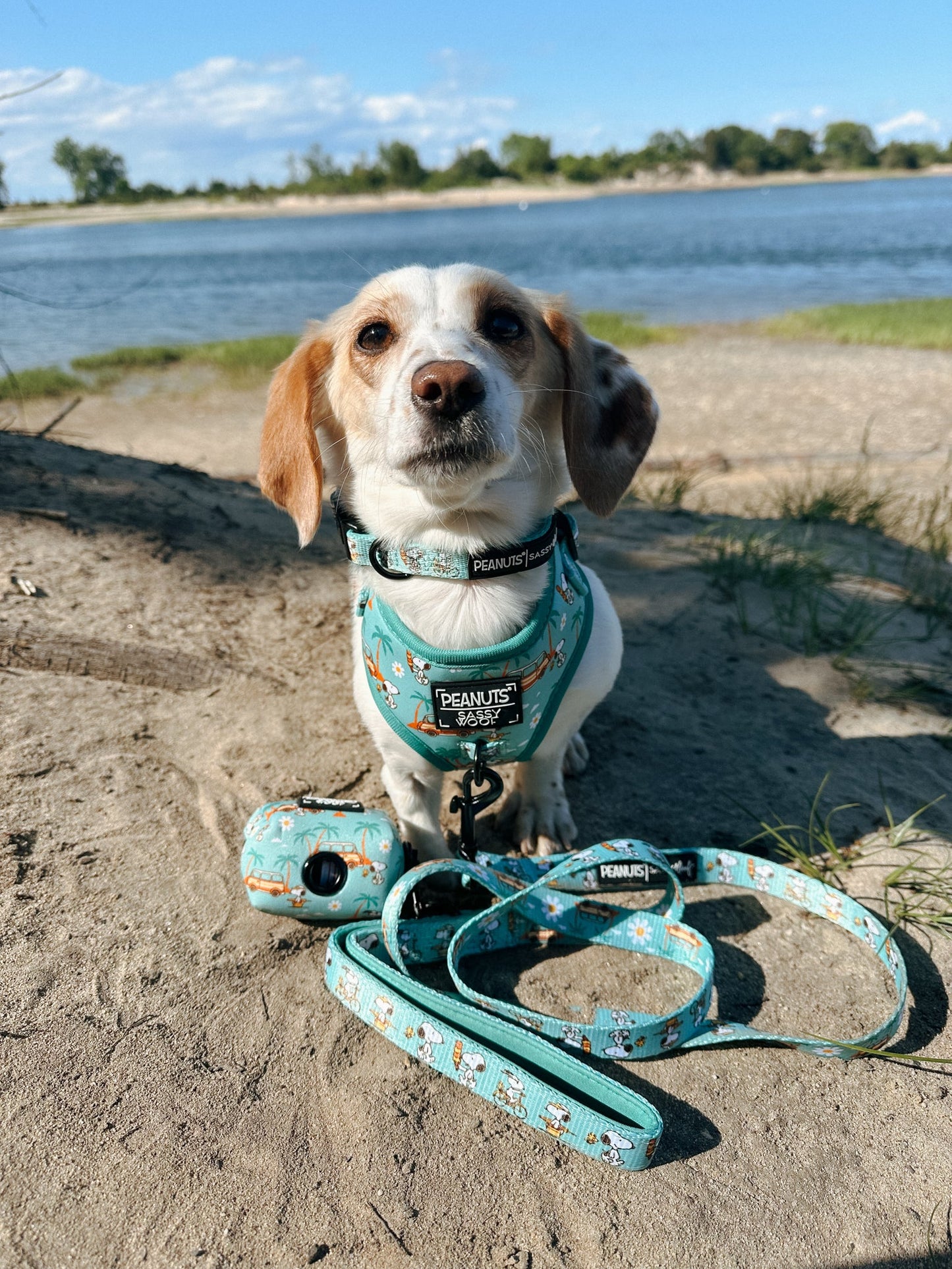 Dog Four Piece Bundle - Peanuts™ Road Tripping