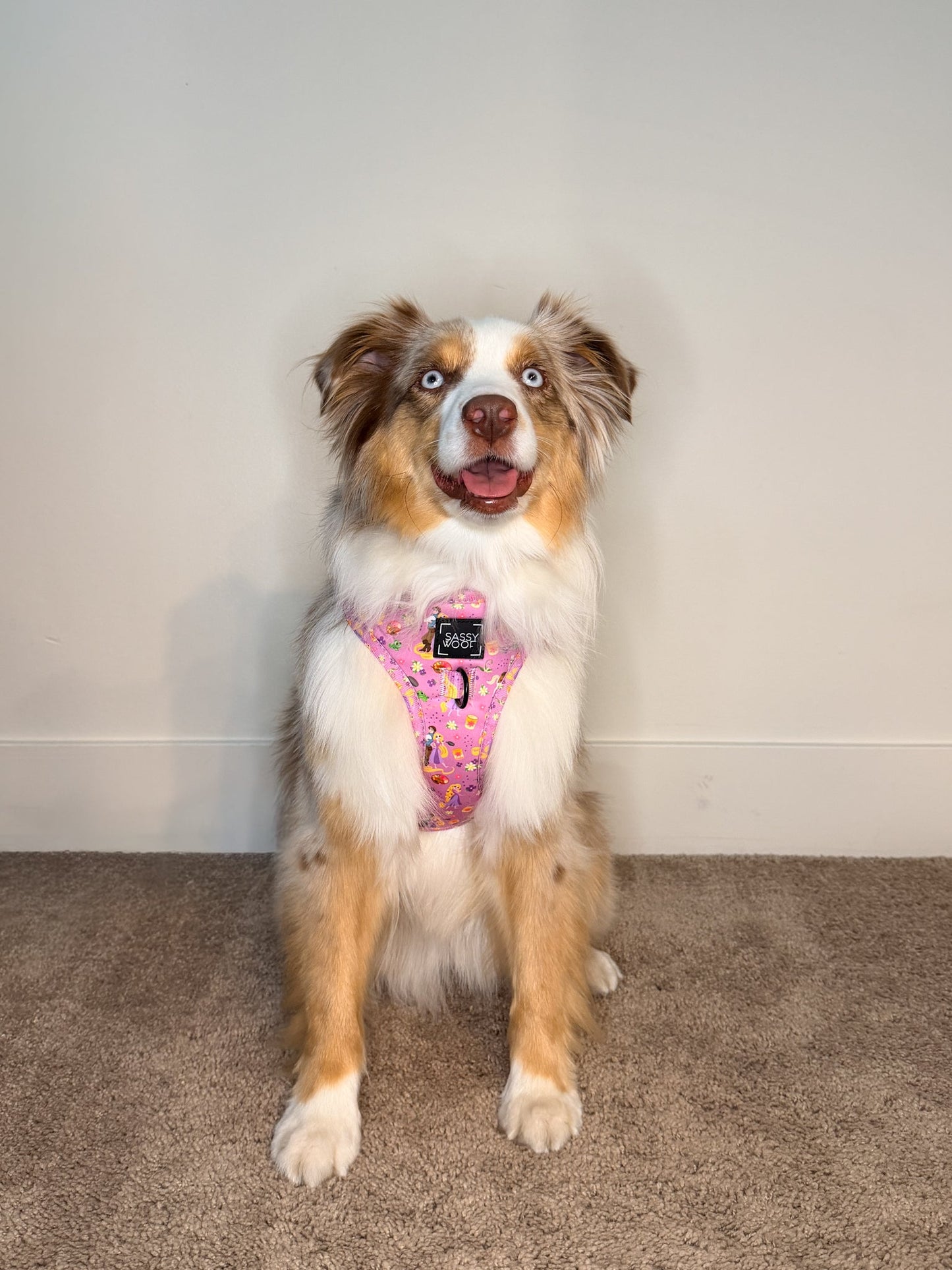 Harness Three Piece Bundle - Disney's Rapunzel