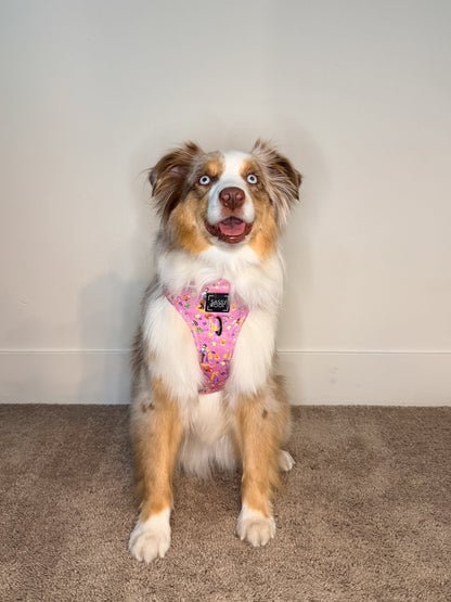 Harness Three Piece Bundle - Disney's Rapunzel