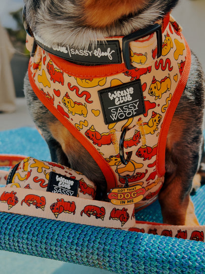 Dog Four Piece Bundle - Hot Dawg