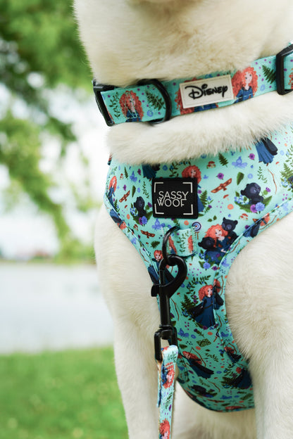 Harness Three Piece Bundle - Disney's Merida