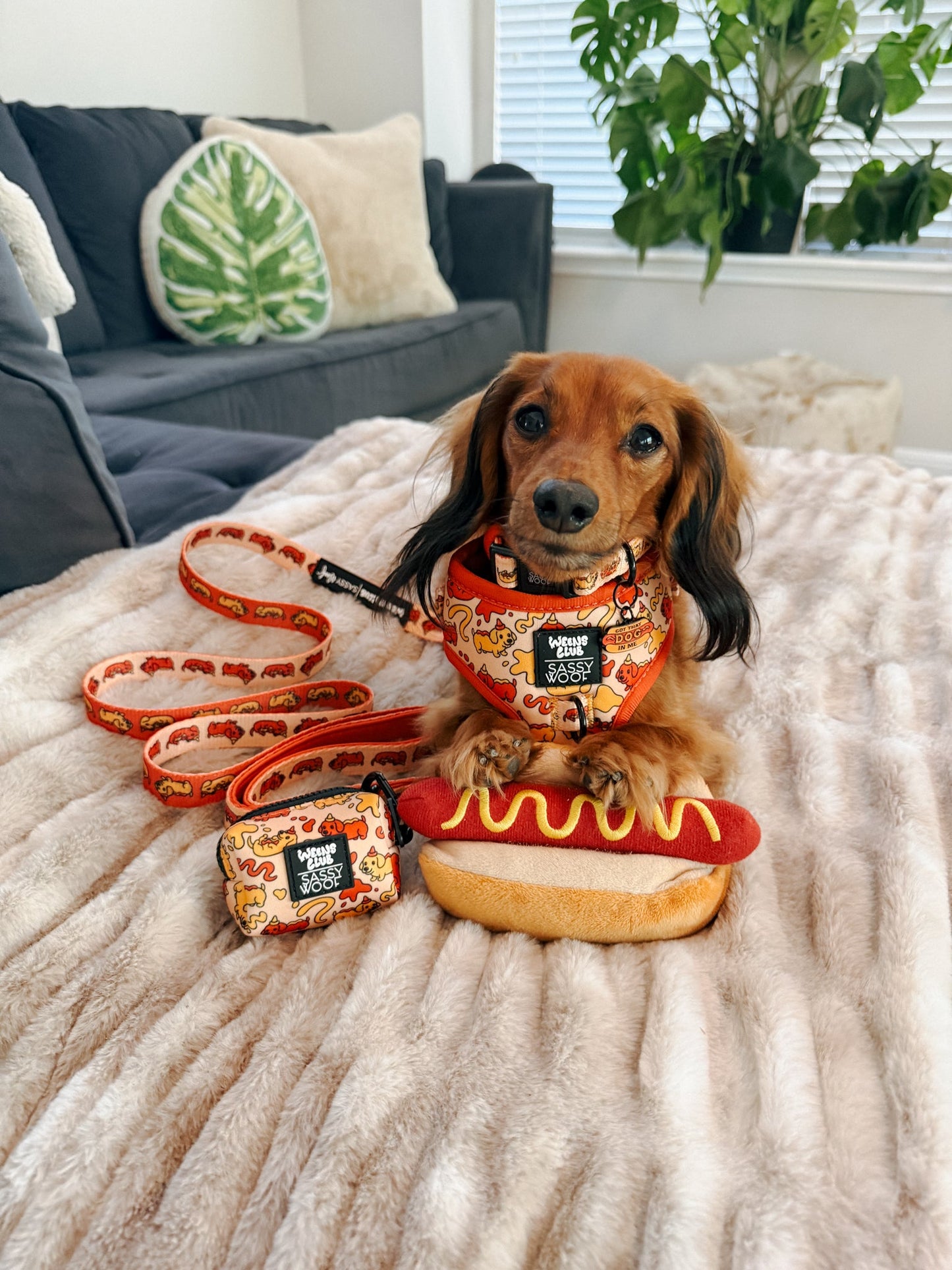 Dog Waste Bag Holder - Hot Dawg