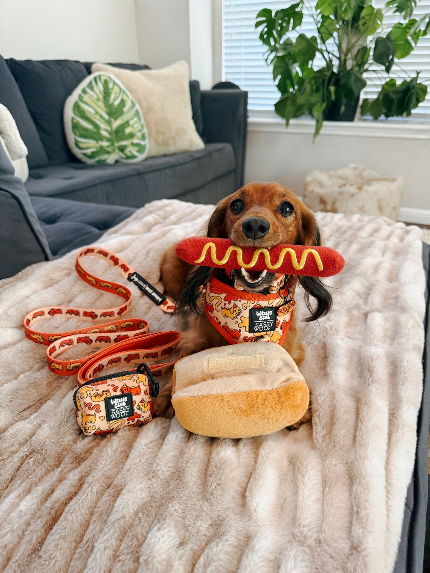 Dog Four Piece Bundle - Hot Dawg