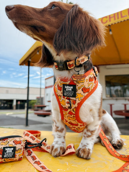 Dog Four Piece Bundle - Hot Dawg