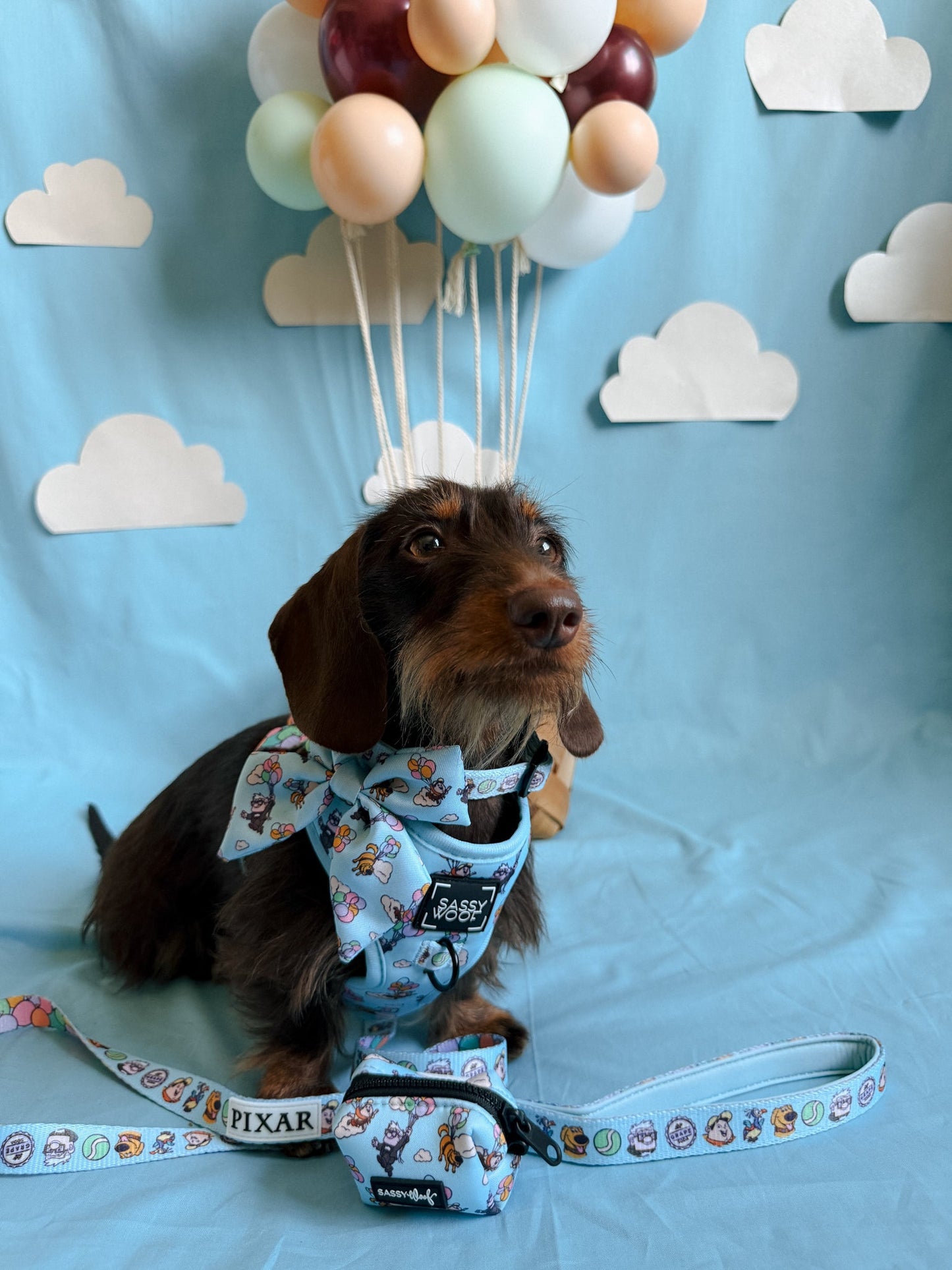 Dog Sailor Bow - Disney and Pixar's Up