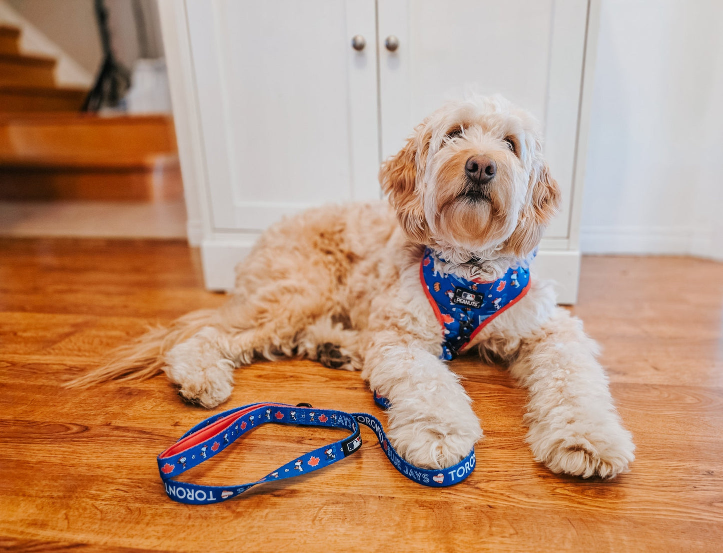 Dog Two Piece Bundle - MLB™ x Peanuts™ Toronto Blue Jays™