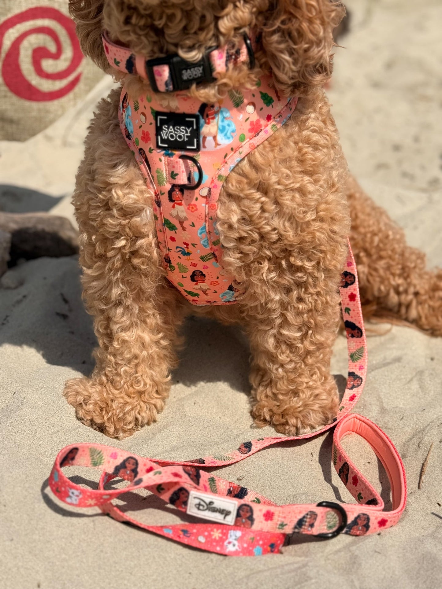 Dog Two Piece Bundle - Disney's Moana