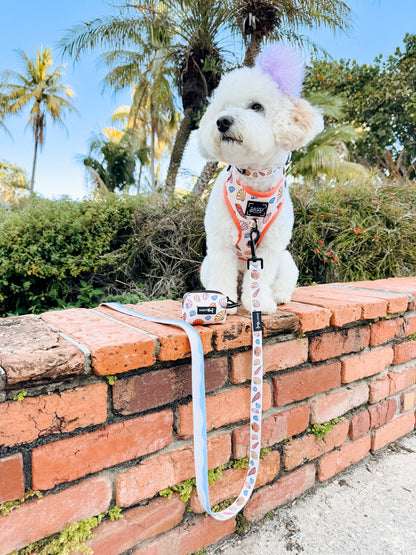 Dog Two Piece Bundle - Shell Yeah