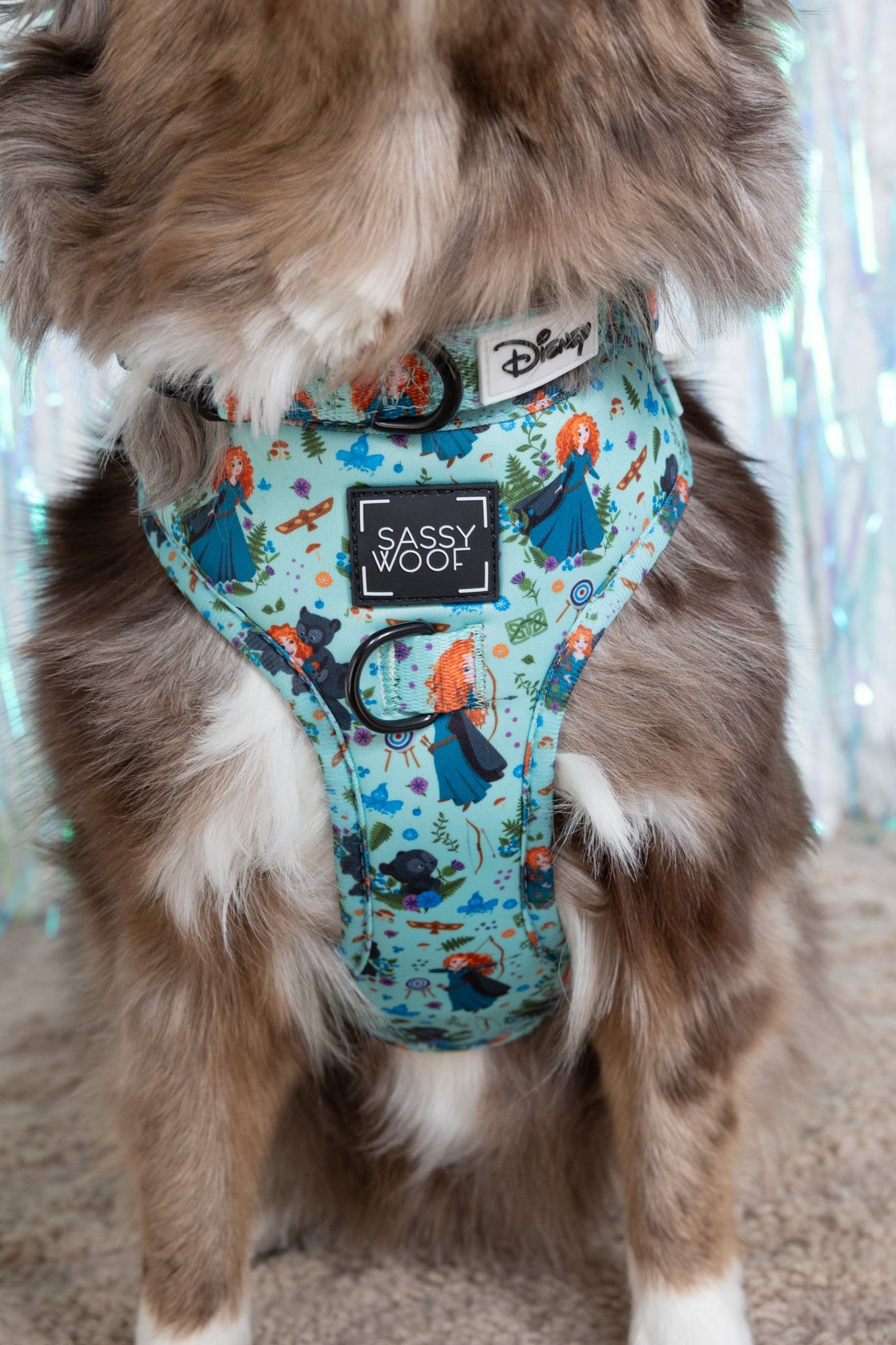 Harness Three Piece Bundle - Disney's Merida